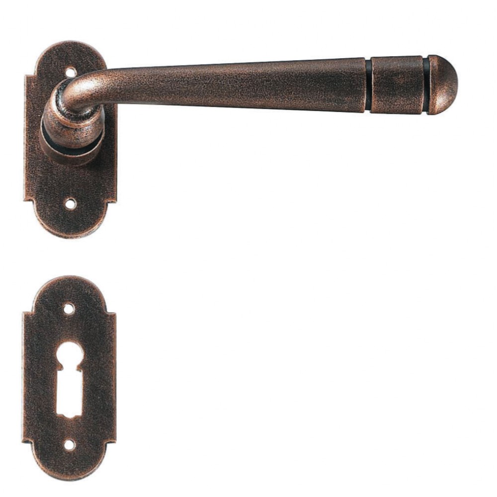 Bern 2 Galbusera Door Handle with Rosette and Escutcheon Plate