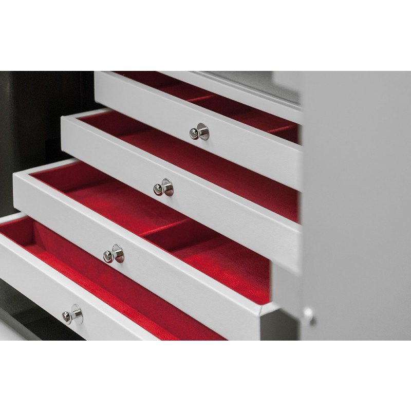 AAA Più Wall Safe Bordogna Ideal for Home Security