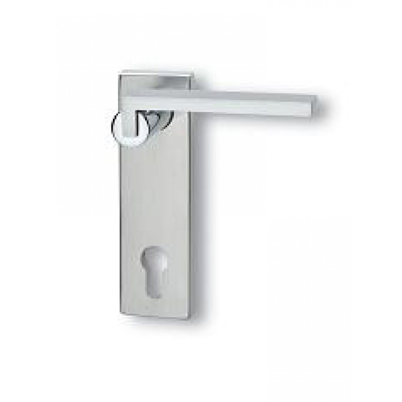 Pair of Ghidini Cartesio Q OCL-M4/F1 Lever Handles with Plate