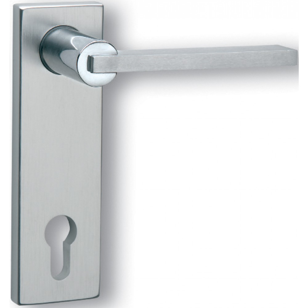 Pair of Ghidini Galileo Q OCL-M4/F1 Lever Handles with Plate