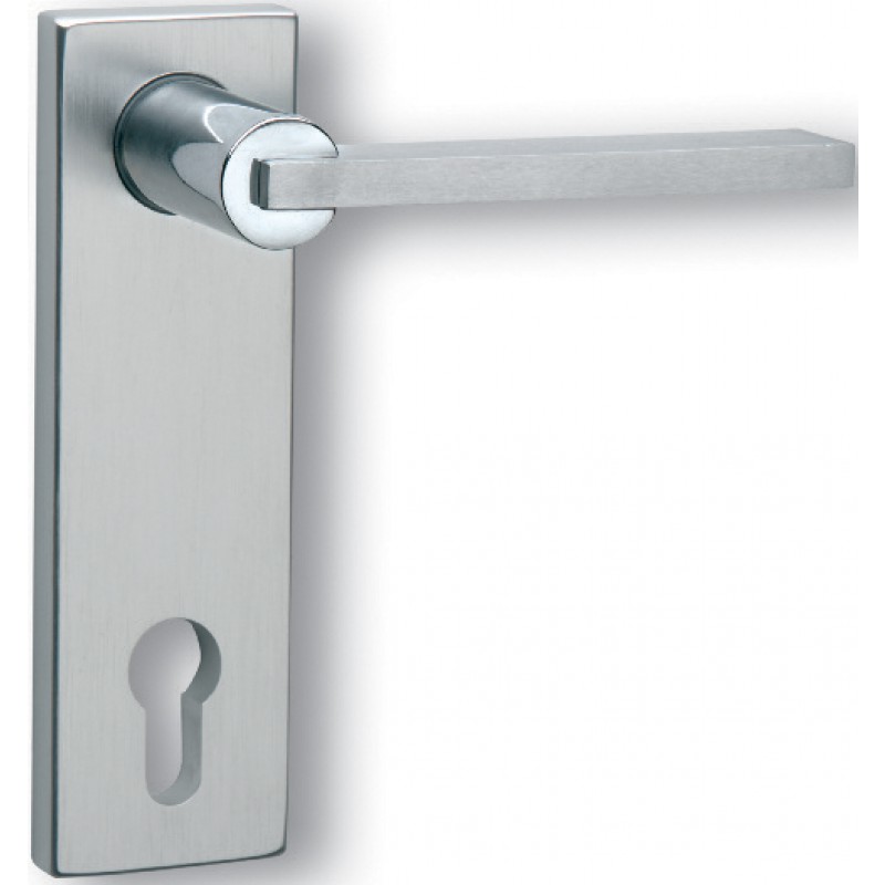 Pair of Ghidini Galileo Q OCL-M4/F1 Lever Handles with Plate