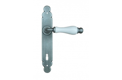 Dublin Galbusera Door Handle with Plate