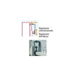 Guide for Sliding Gate with Spears Various Sizes Brevetti Adem