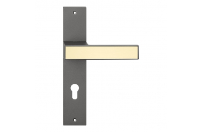 Icon Frosio Bortolo interior handles available in many colors