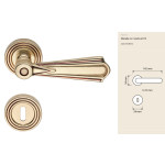 Madame Linea Calì Brass Door Handle Made in Italy