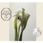 Spirit Mesh Linea Calì Handle with Swarovski Crystal Stripe