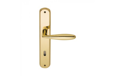 Handle on Door Plate in Brass Alise Reguitti