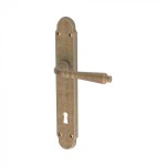 Vintage Door Handle on Plate with Visible Screws Ginevra Reguitti