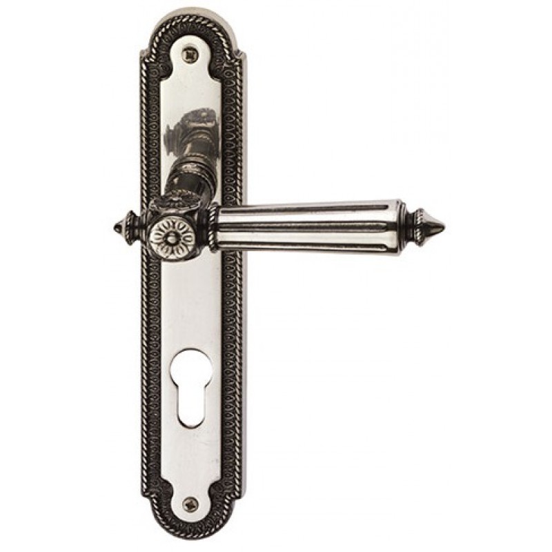 Patrizio Classique PFS Pasini Brass Door Handle on Plate