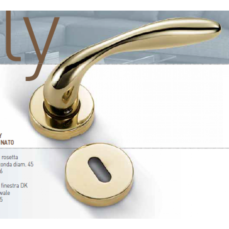 Sally Smart Series Line Handle Brass with Rosetta and round nozzle