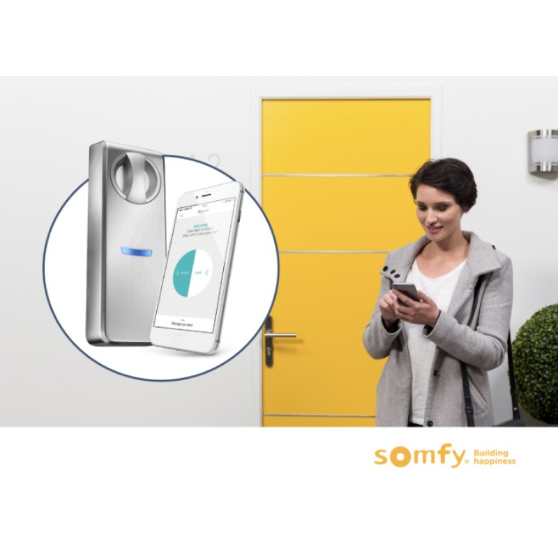 Smart WiFi Door Lock Somfy with Door Cylinder