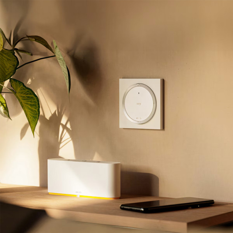 Somfy Amy io Wall Radio Control with Square or Round Frame