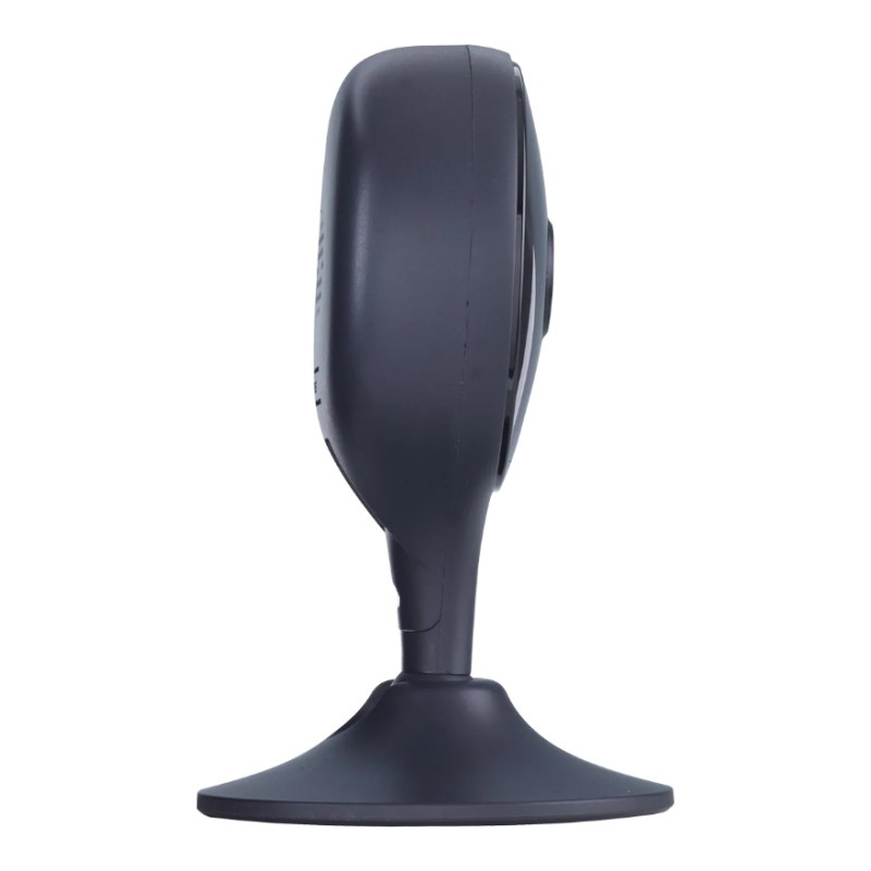 Momentum sales security cameras