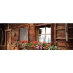 Mosquito Net Bettio Sonia Traditional Vertical Spring Overall Cassonetto 50mm