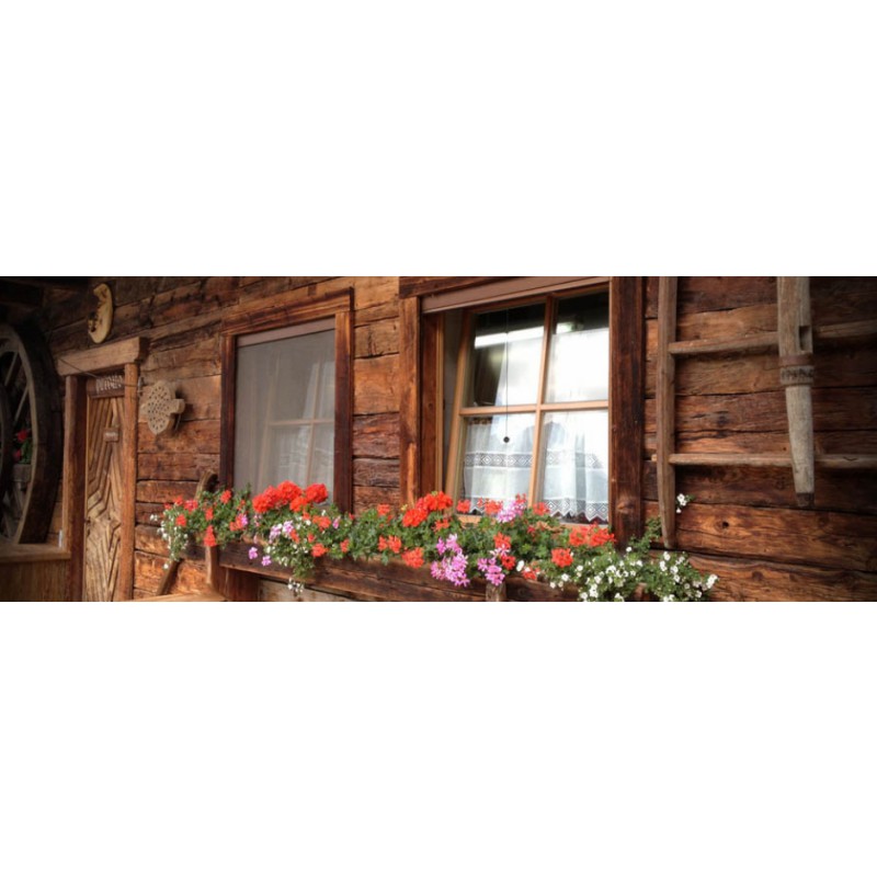 Mosquito Net Bettio Sonia Traditional Vertical Spring Overall Cassonetto 50mm